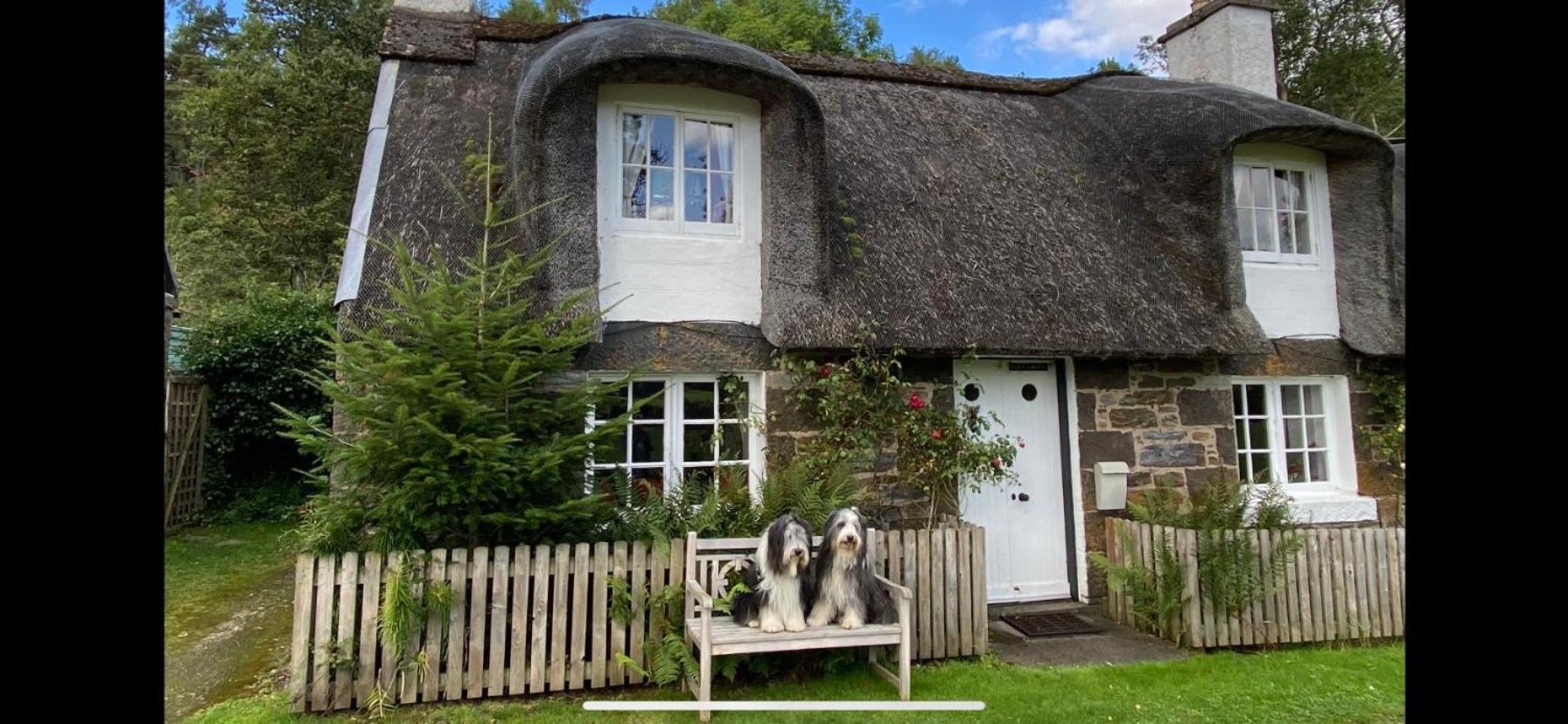 אברפלדי Glencroft A Fairytale Highland Cottage מראה חיצוני תמונה